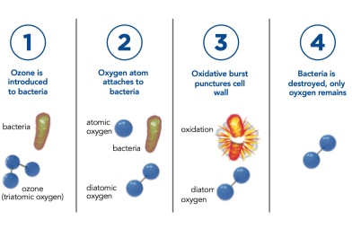 AquaZone system ozone process